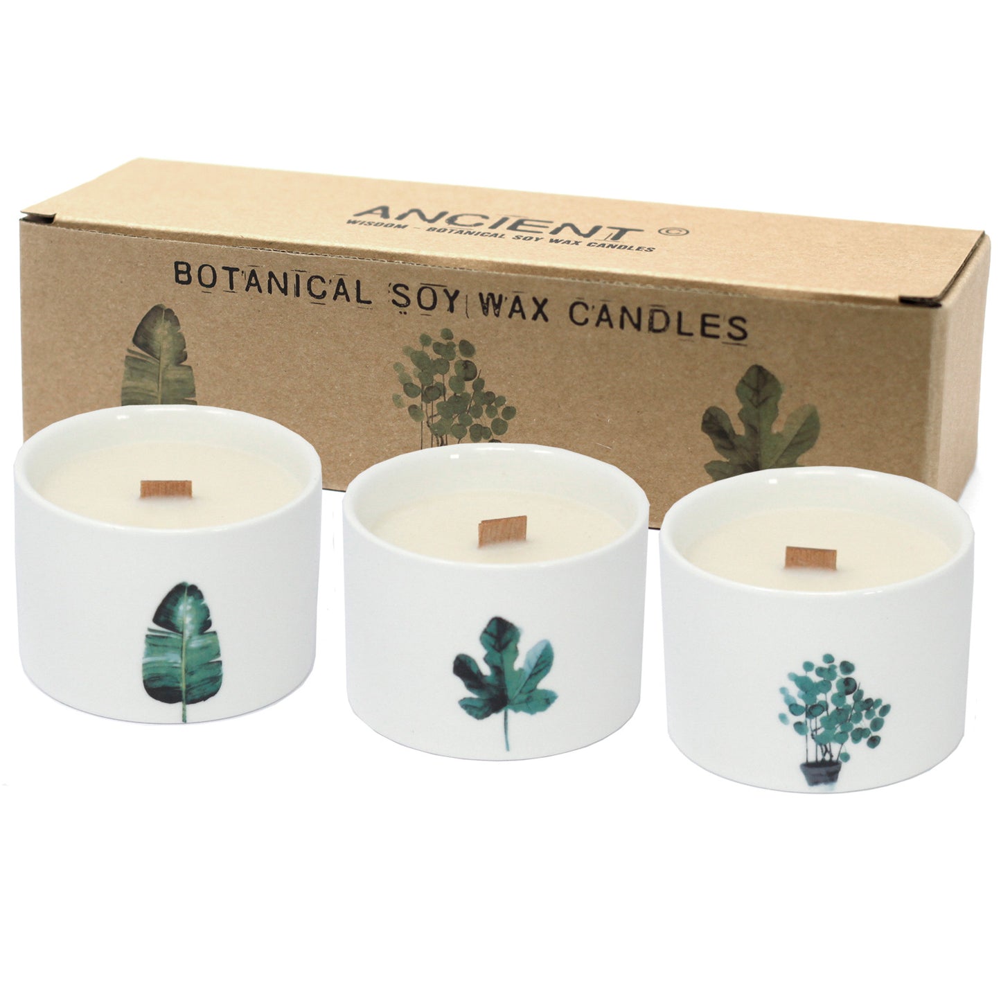 Botanical candle set