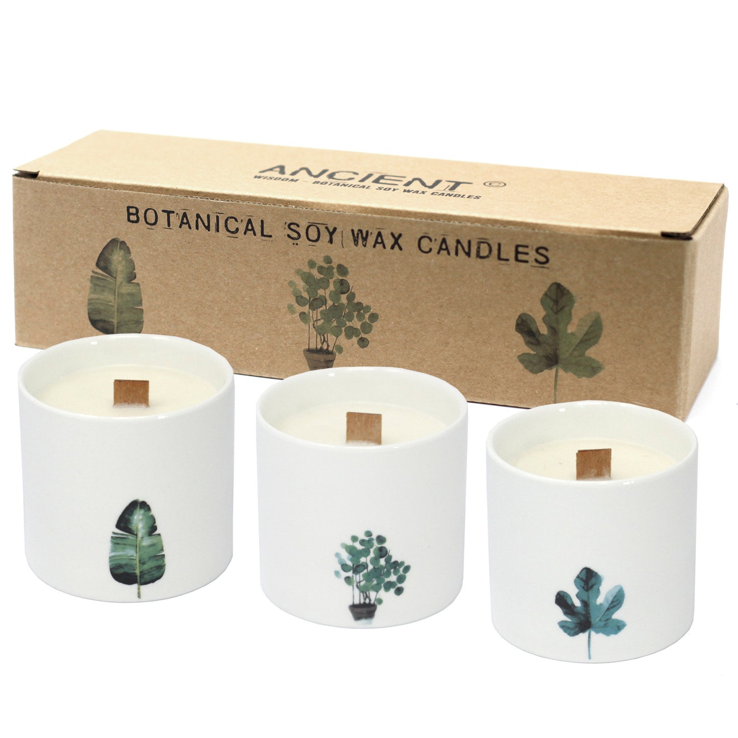 Botanical candle set (Large)