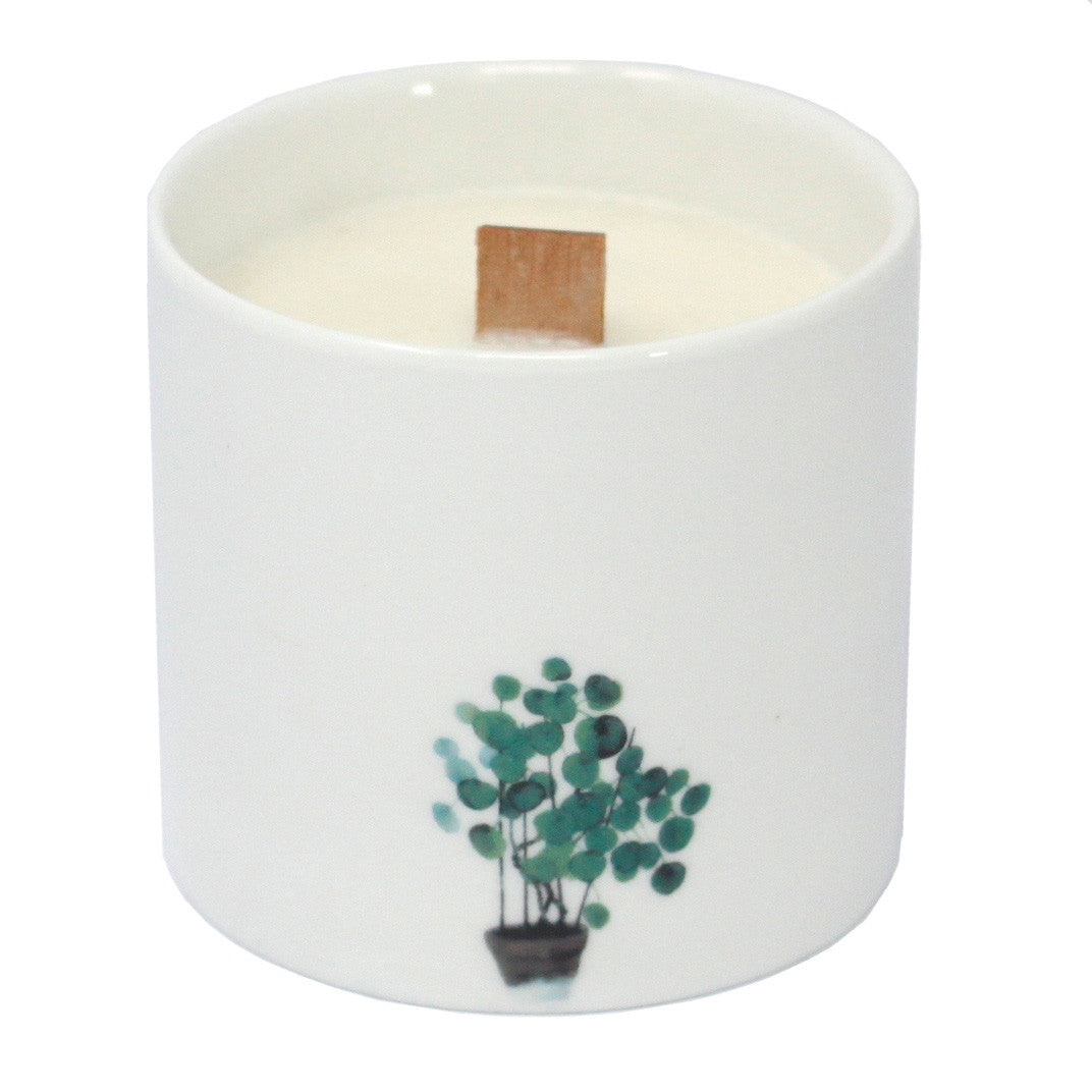 Botanical candle set (Large)