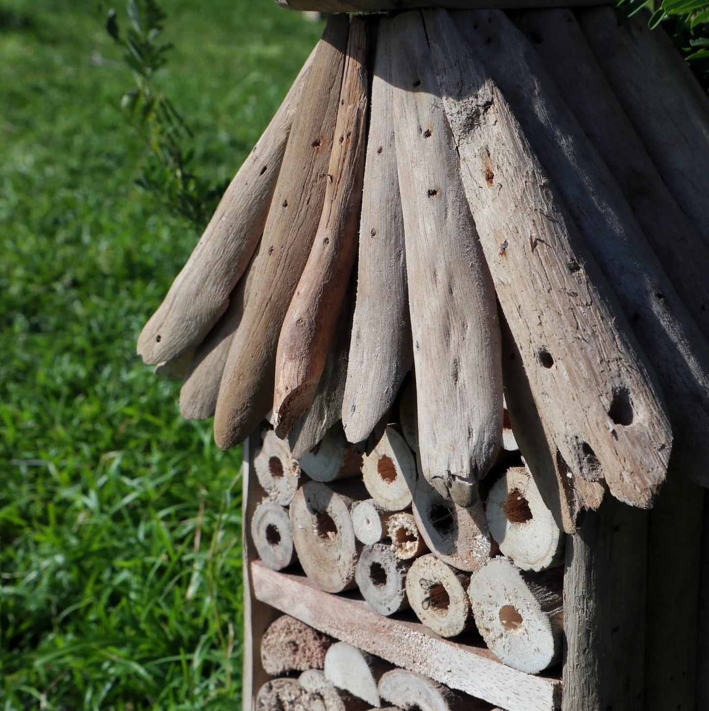 Driftwood Bee & Insect Tall Box