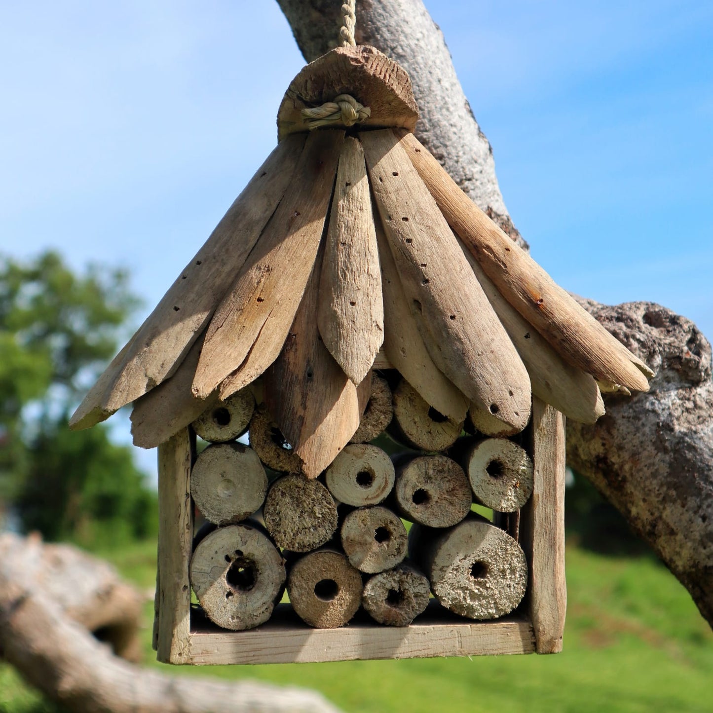 Driftwood Bee & Insect Box pair