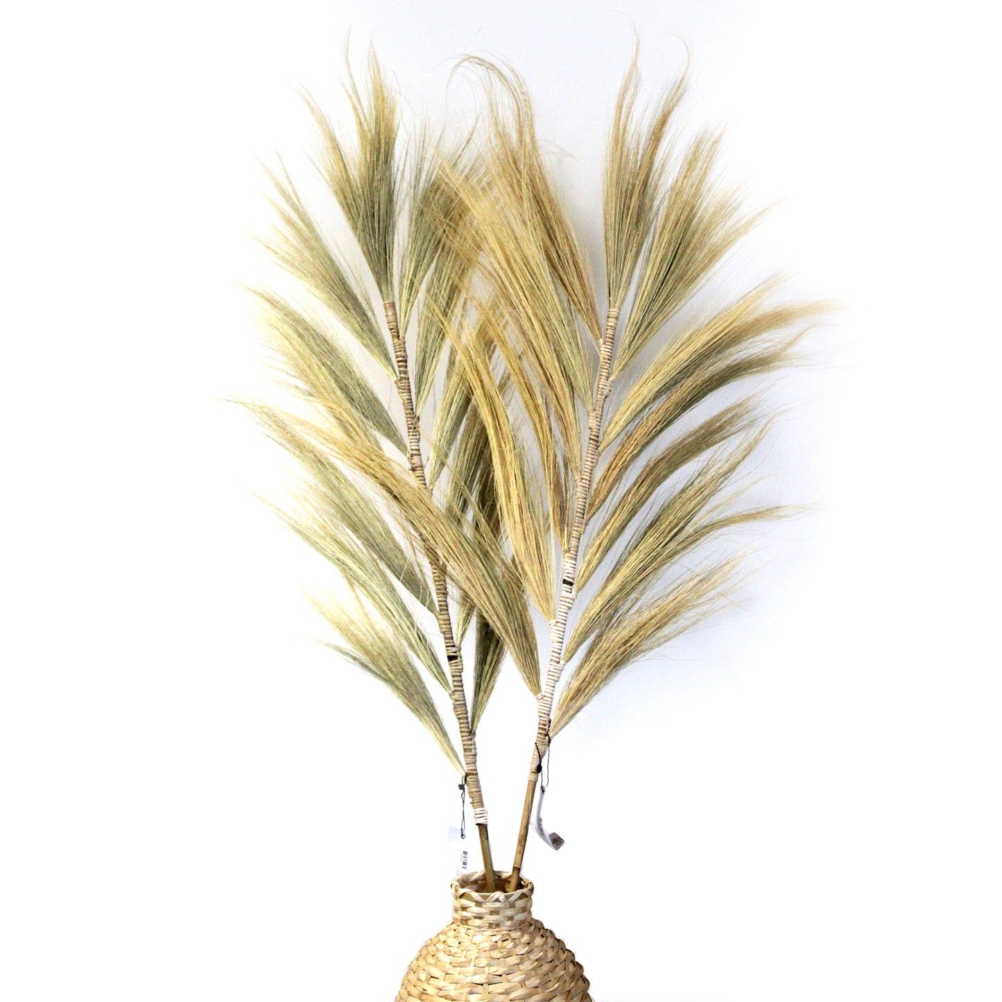 3x Rayung Grass Blond - 1.6m