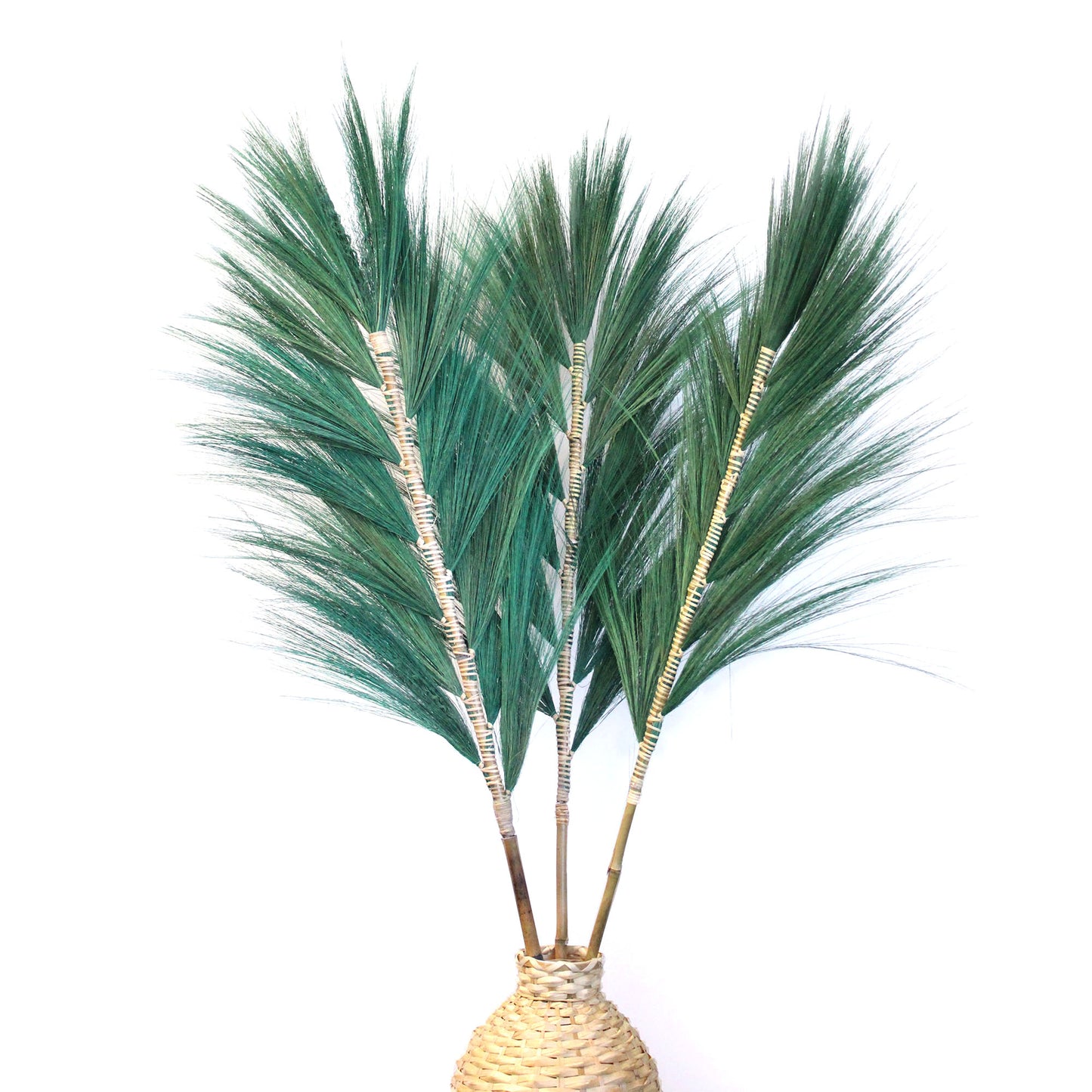 3x Rayung Grass Teal - 1.6m