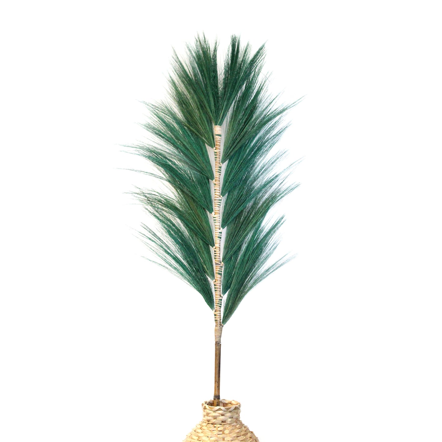 3x Rayung Grass Teal - 1.6m