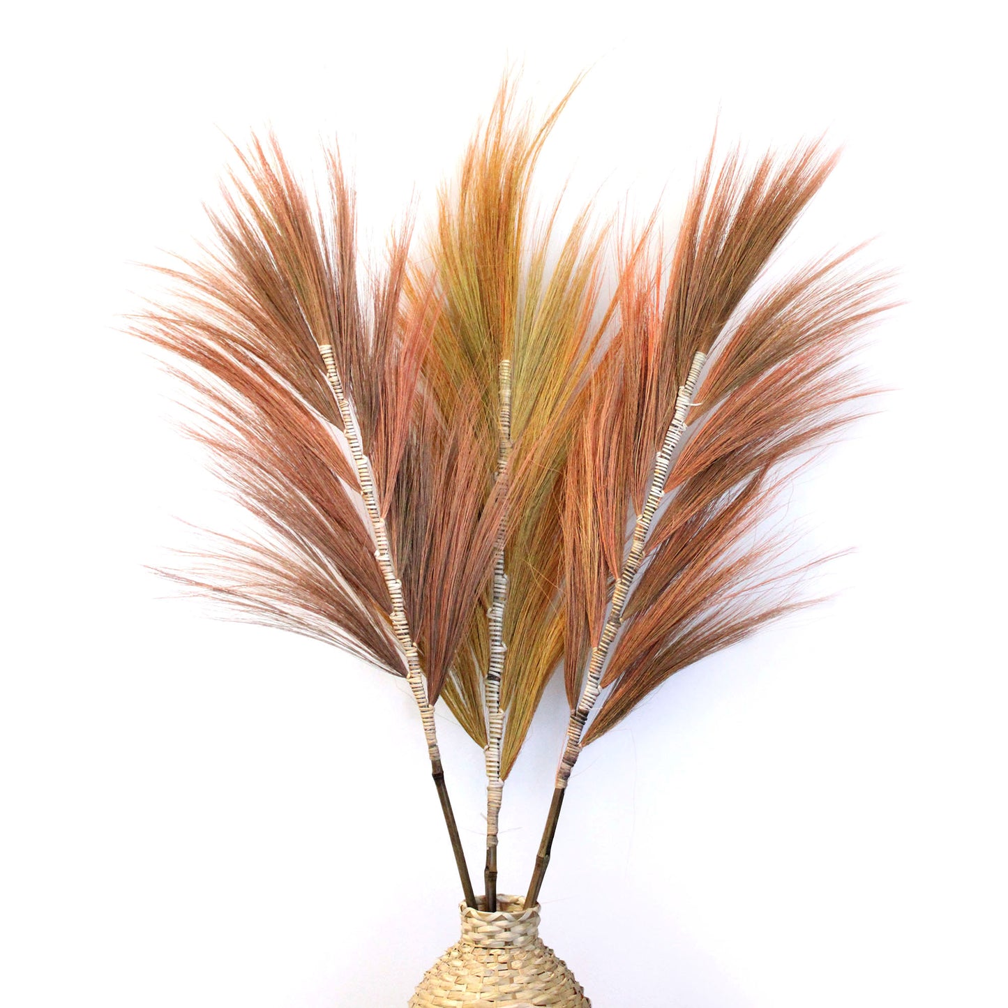 3x Rayung Grass Coral - 1.6m