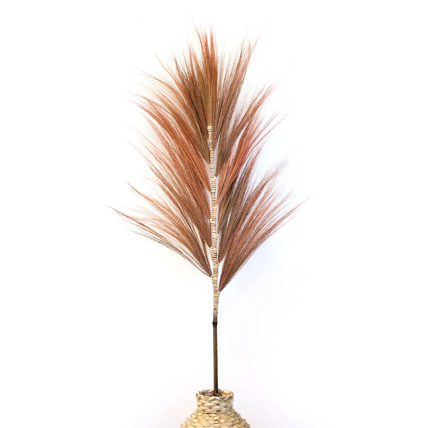 3x Rayung Grass Coral - 1.6m