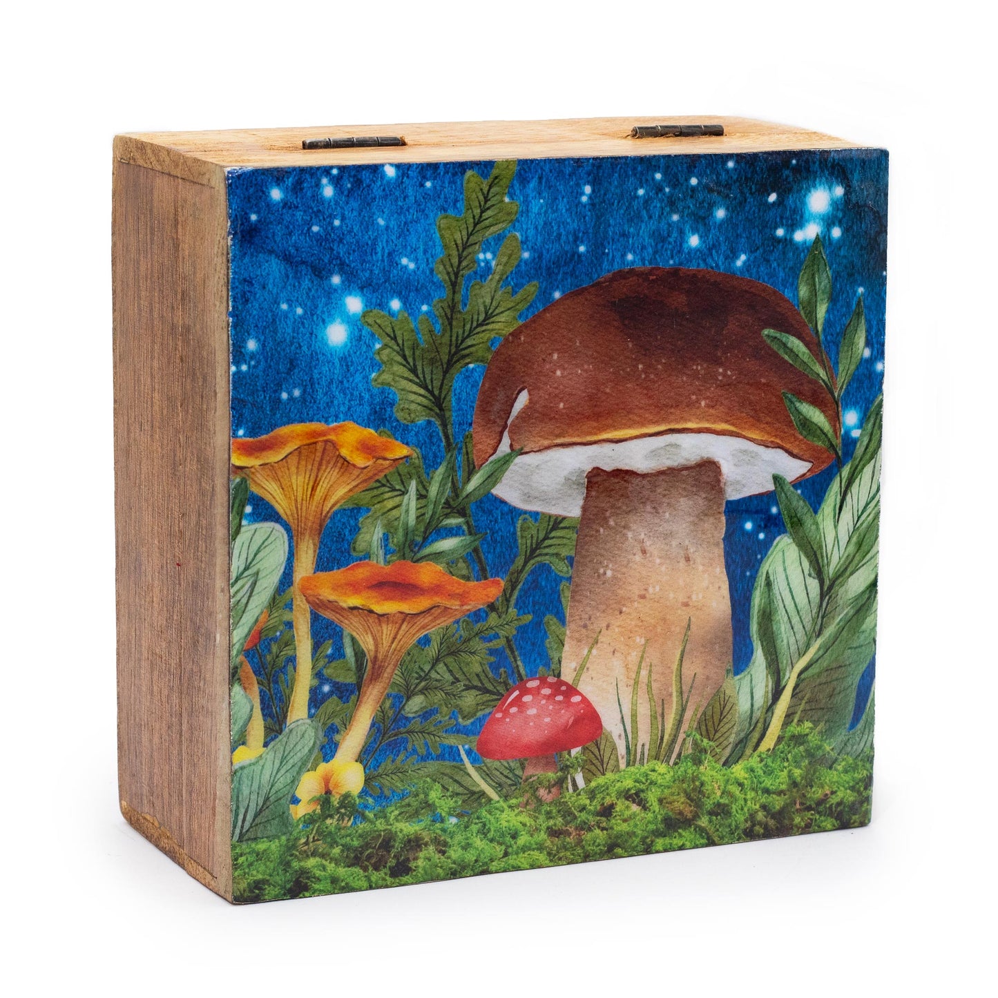 Twilight Mushroom Rolling / Trinket Box