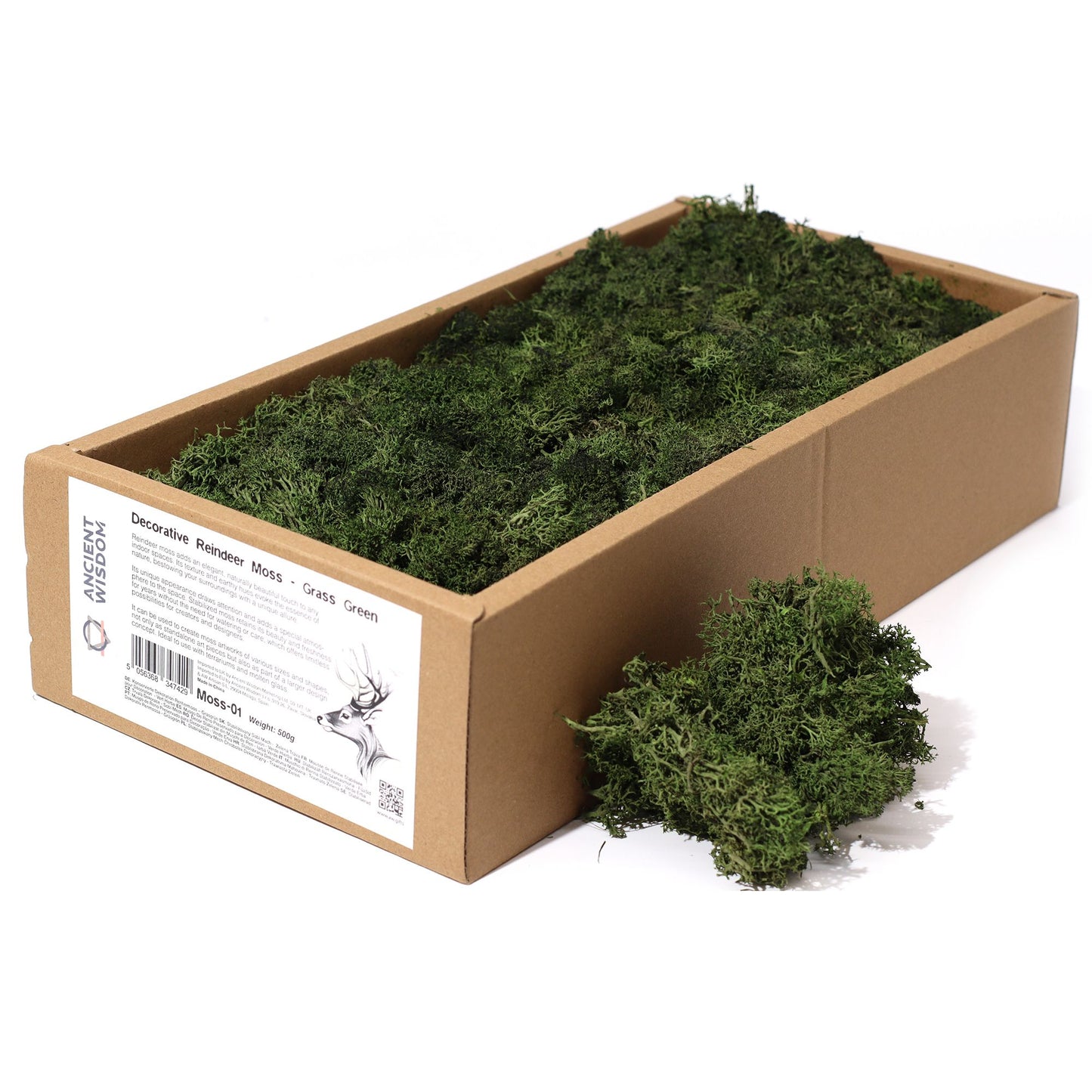 Decoration Reindeer Moss - Grass Green