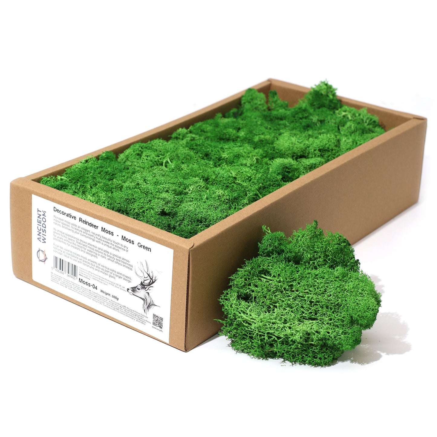 Decoration Reindeer Moss - Moss Green
