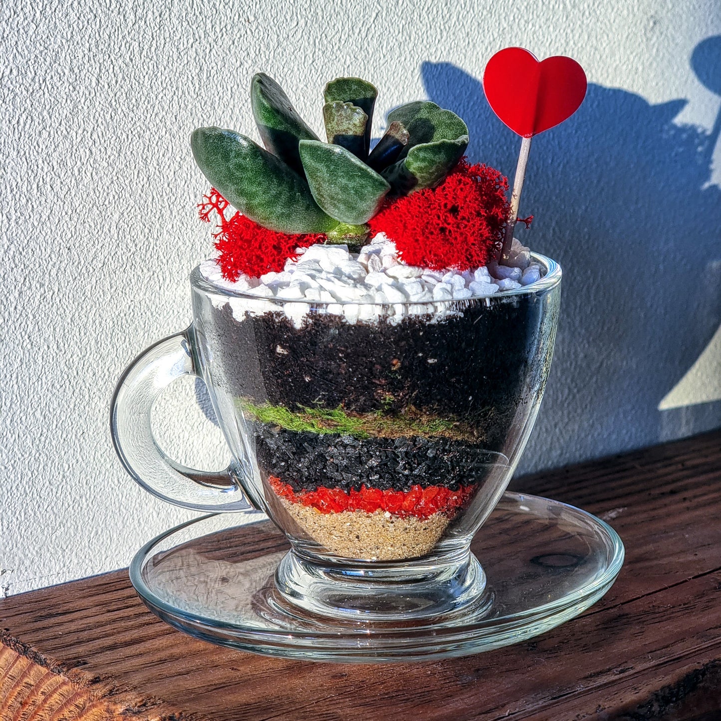 Teacup Terrarium DIY Kit