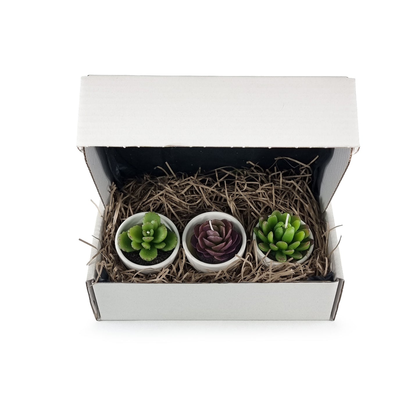 Care package including set of 3 succulent candles