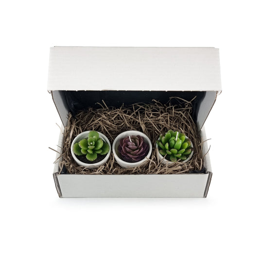 Care package including set of 3 succulent candles