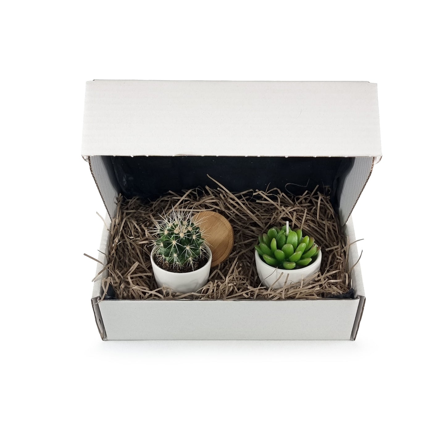 A white postal box containing shredded paper, a cactus in a white pot with a bamboo drip tray and a candle in a white pot and shaped like a Succulent