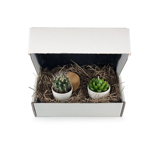 A white postal box containing shredded paper, a cactus in a white pot with a bamboo drip tray and a candle in a white pot and shaped like a Succulent
