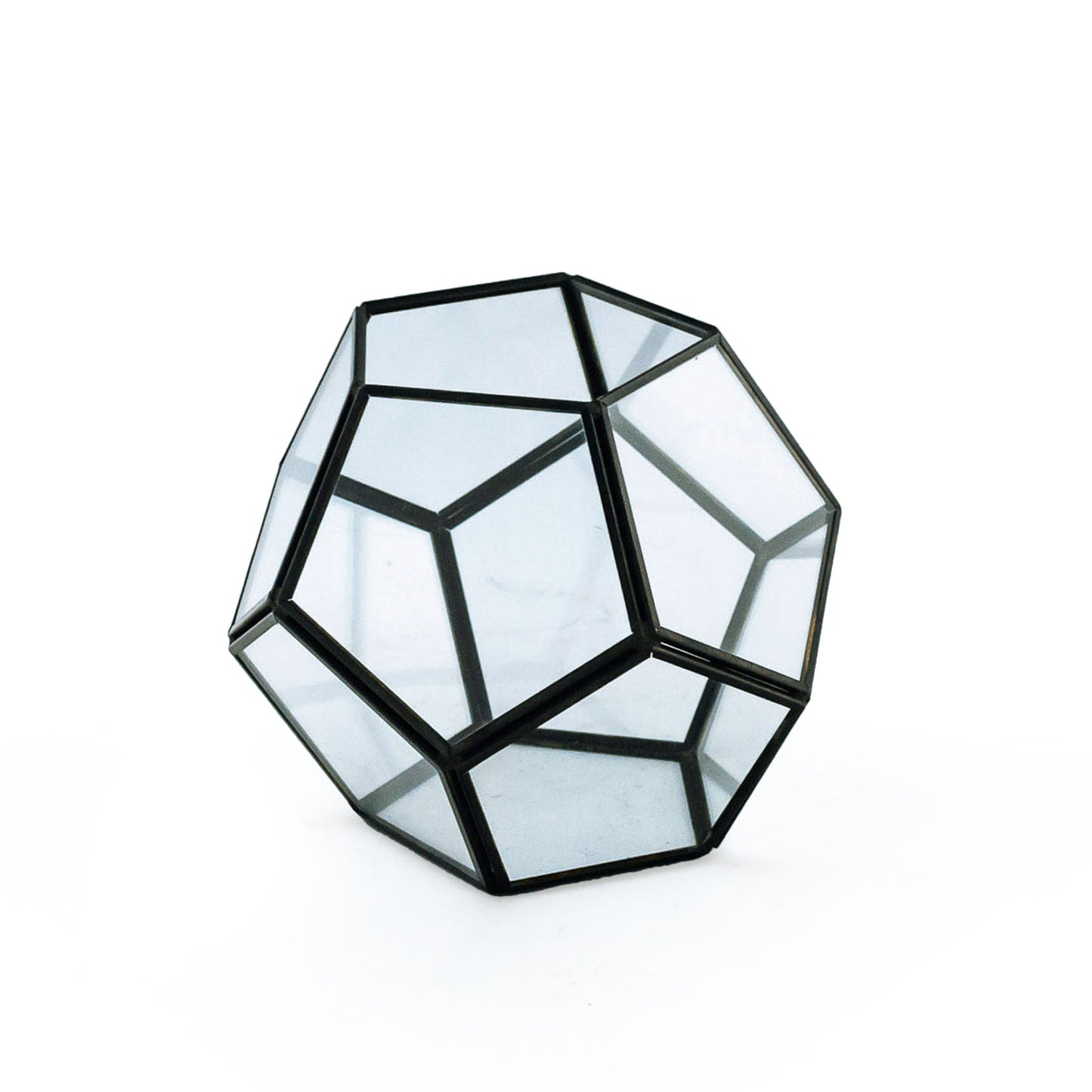 Geometric Black Frame Terrarium DIY Kit