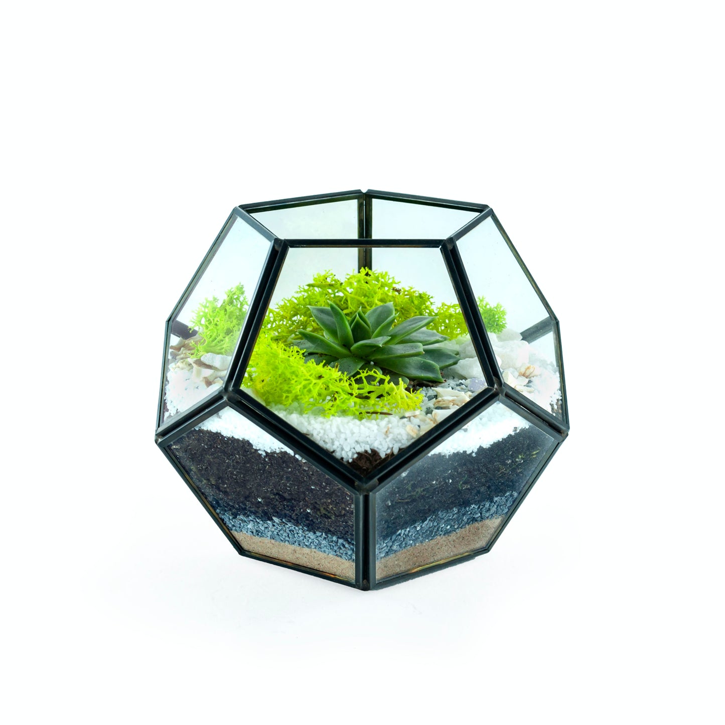 Geometric Black Frame Terrarium DIY Kit