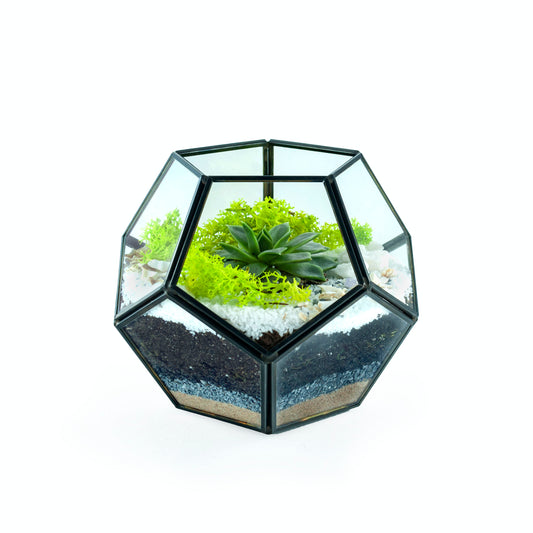 Geometric Black Frame Terrarium DIY Kit