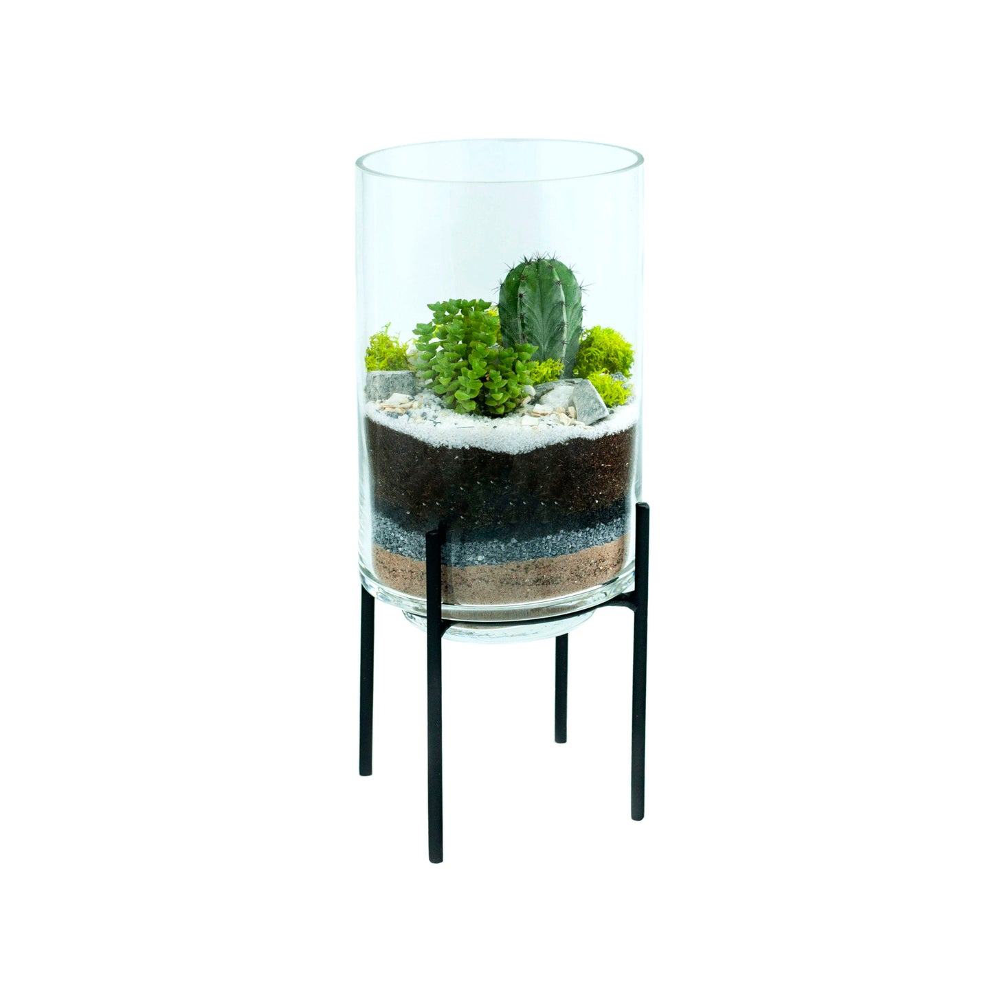 Hurricane Terrarium DIY Kit