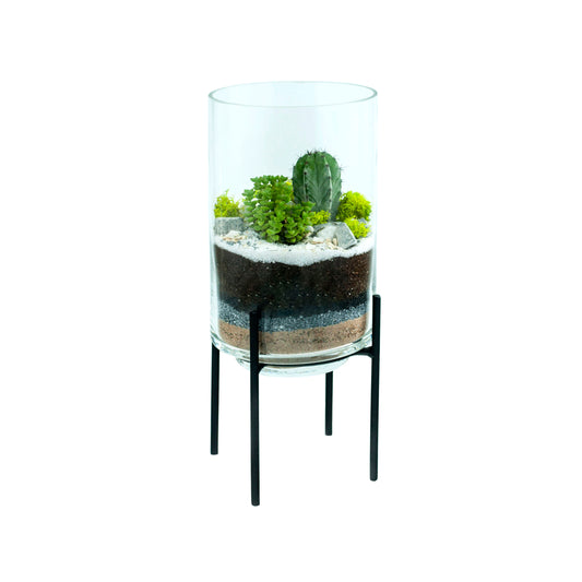 Hurricane Terrarium DIY Kit