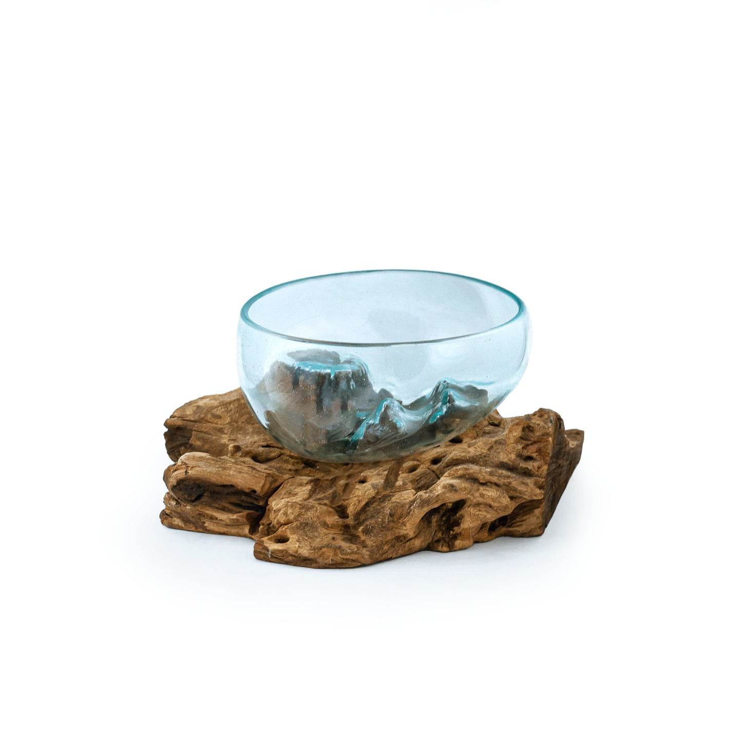 Molten Glass Driftwood Terrarium DIY Kit (Large Wide)