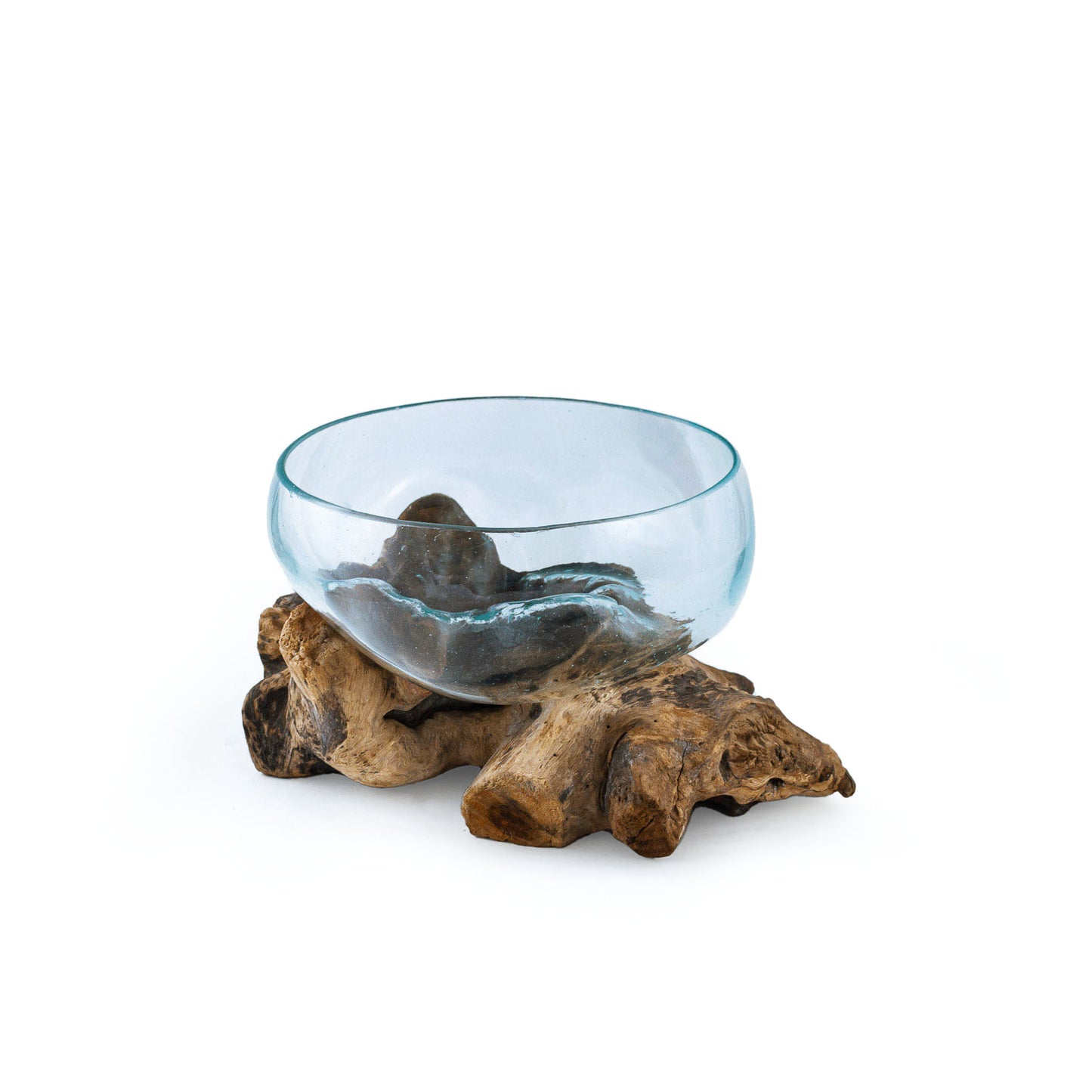 Large Wide Molten Glass Driftwood Air Plant Terrarium DIY Kit