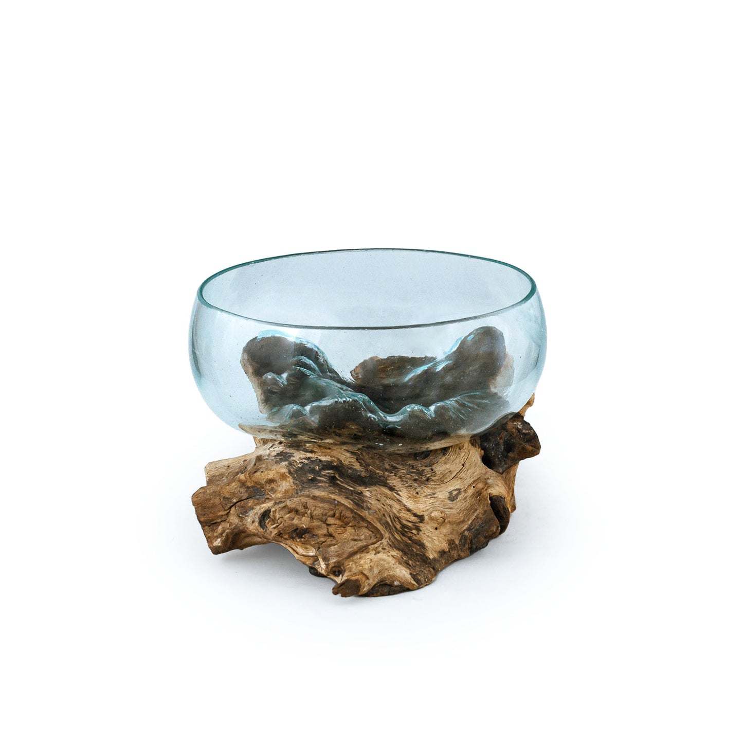 Large Wide Molten Glass Driftwood Air Plant Terrarium DIY Kit