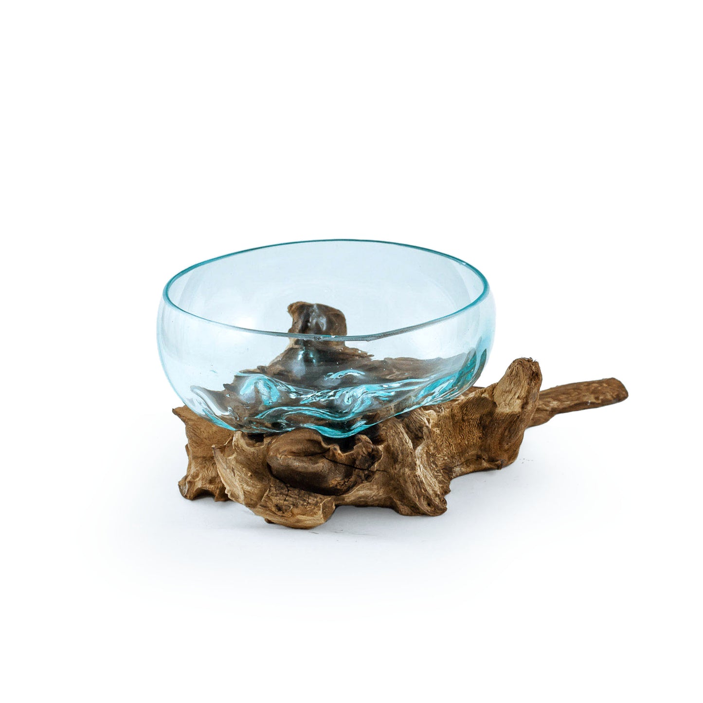 Molten Glass Driftwood Terrarium DIY Kit (Medium Wide)