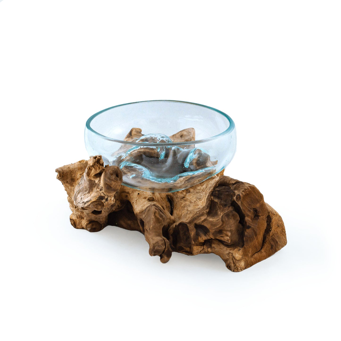 Molten Glass Driftwood Terrarium DIY Kit (Medium Wide)