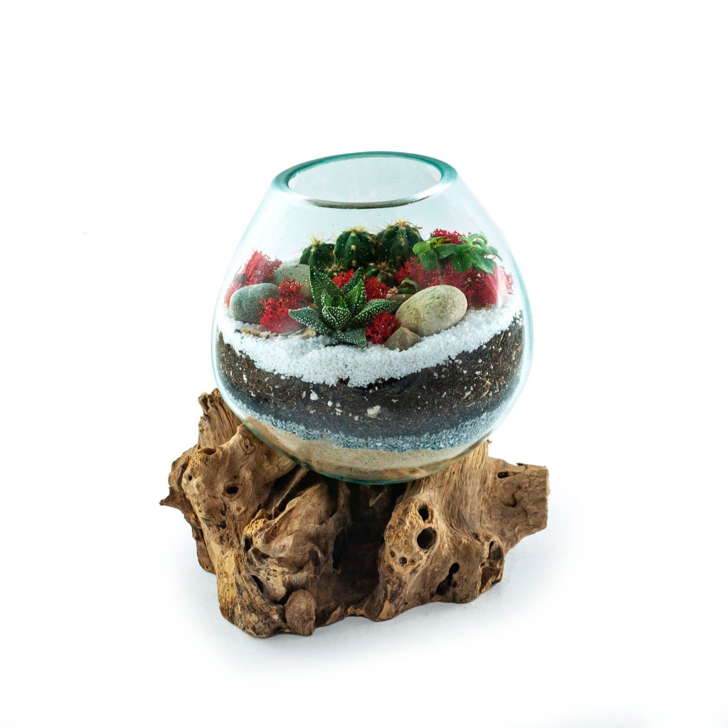 Molten Glass Driftwood Terrarium DIY Kit (Large Tall)