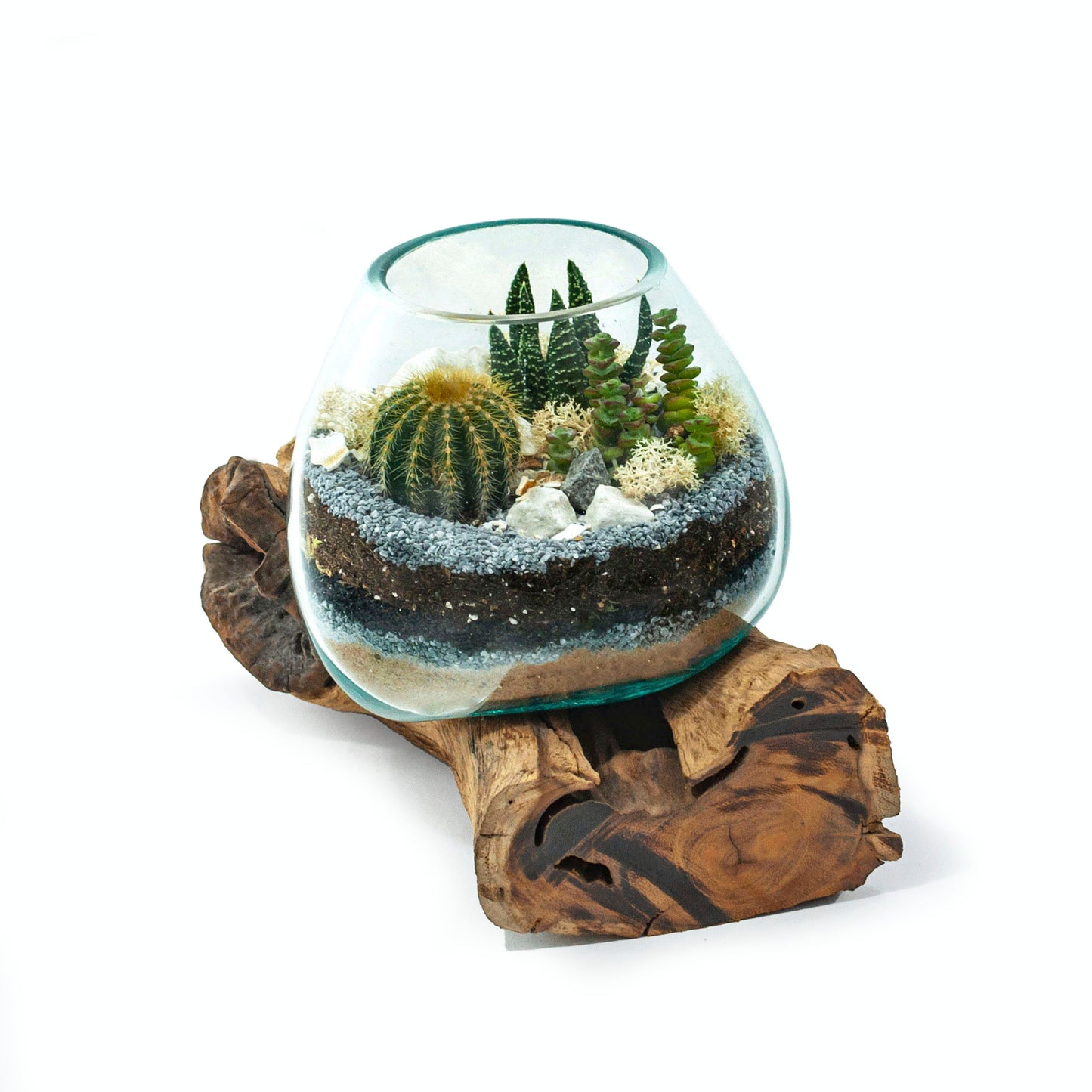 Molten Glass Driftwood Terrarium DIY Kit (Large Tall)