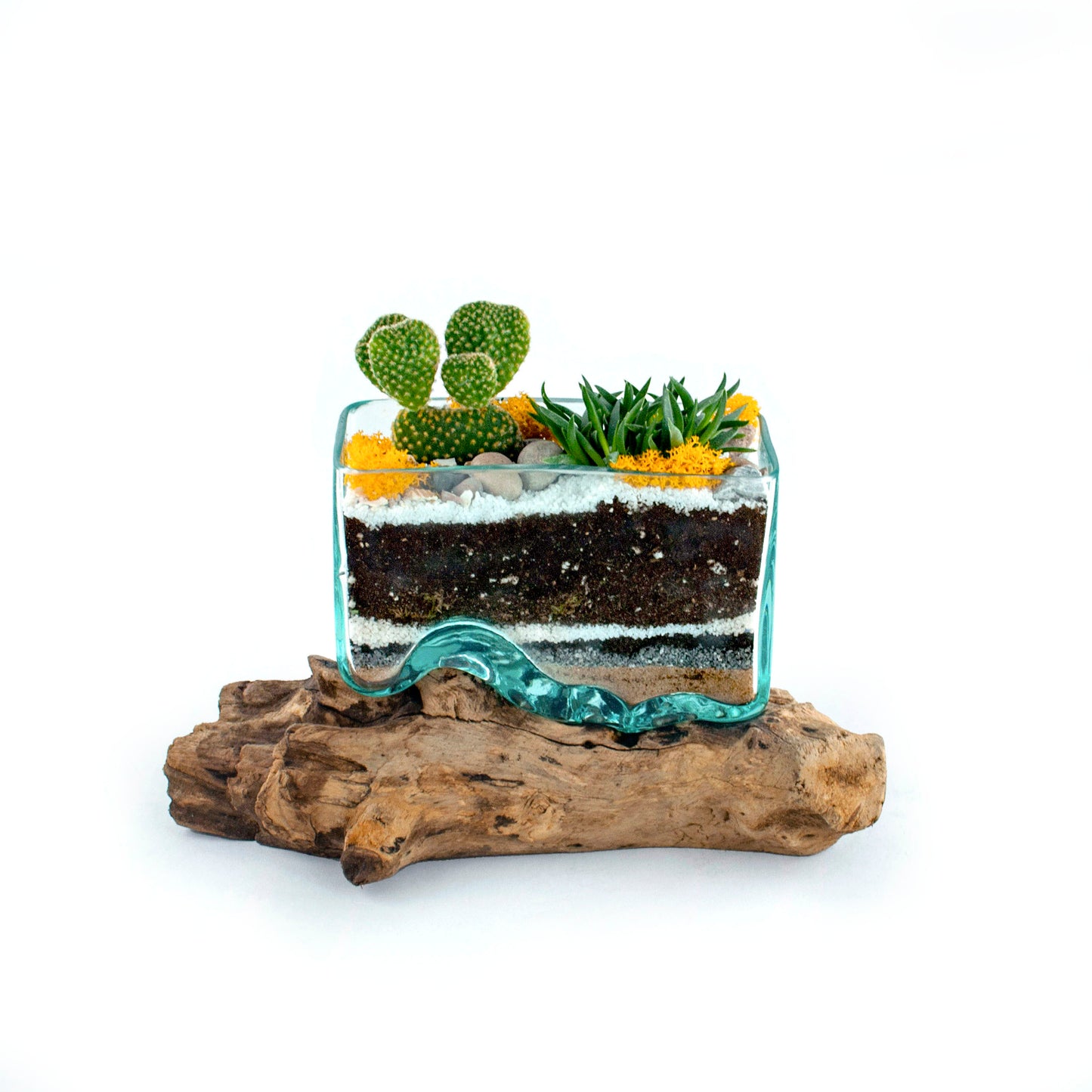 Molten Glass Driftwood Terrarium DIY Kit (Rectangle)