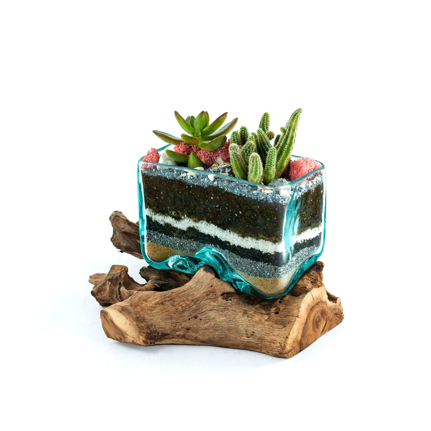 Molten Glass Driftwood Terrarium DIY Kit (Rectangle)