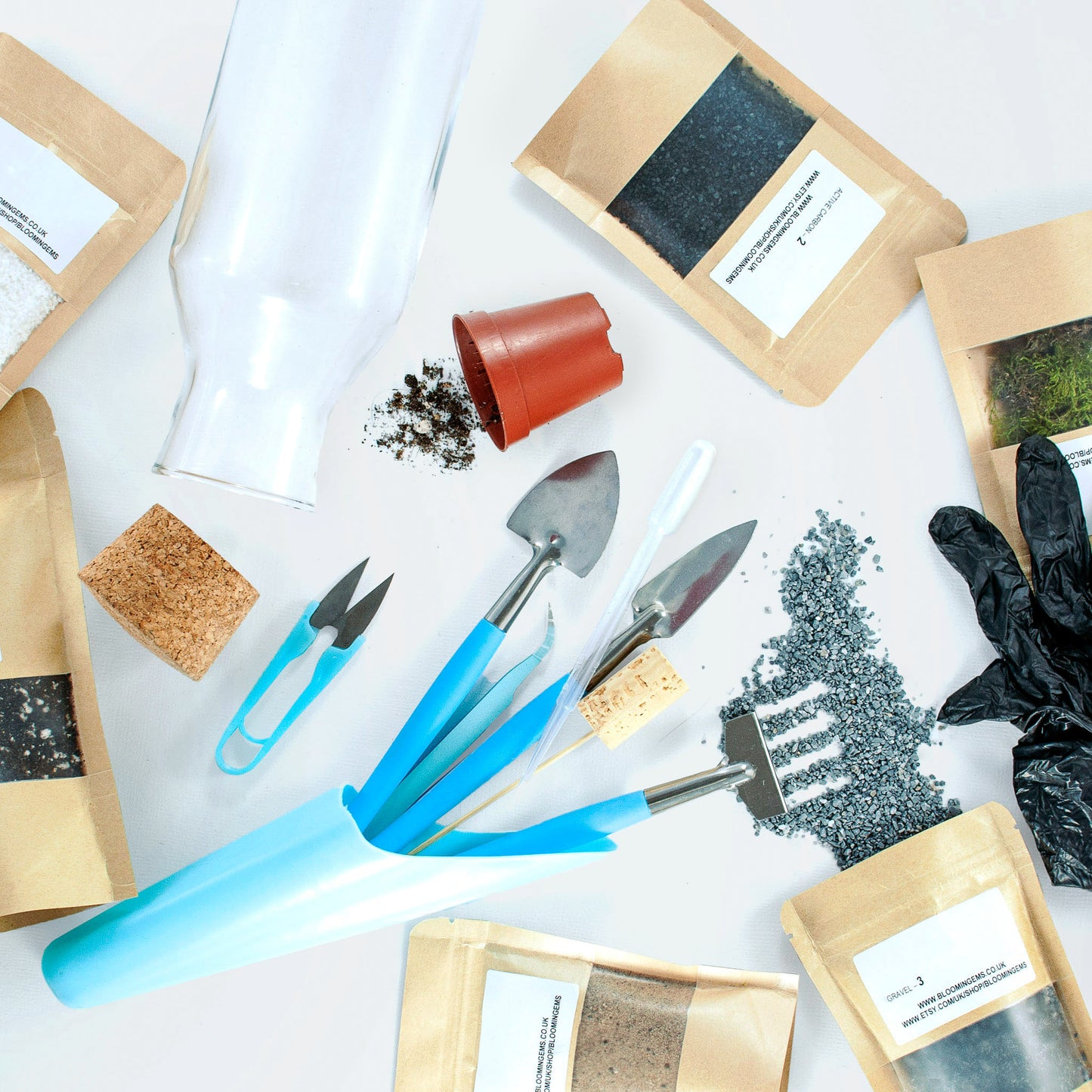 Jar Terrarium DIY kit with one plant