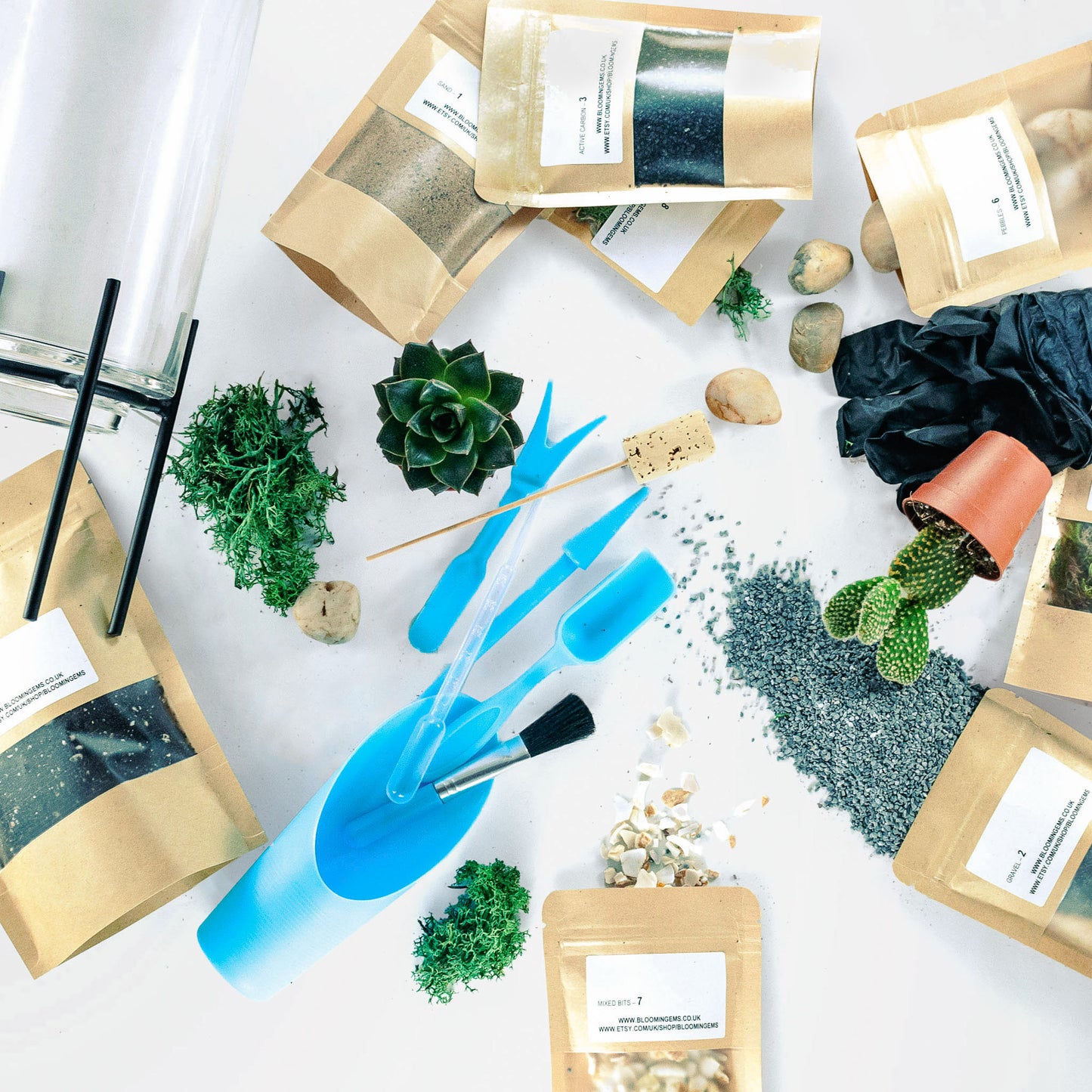 Hurricane Terrarium DIY Kit