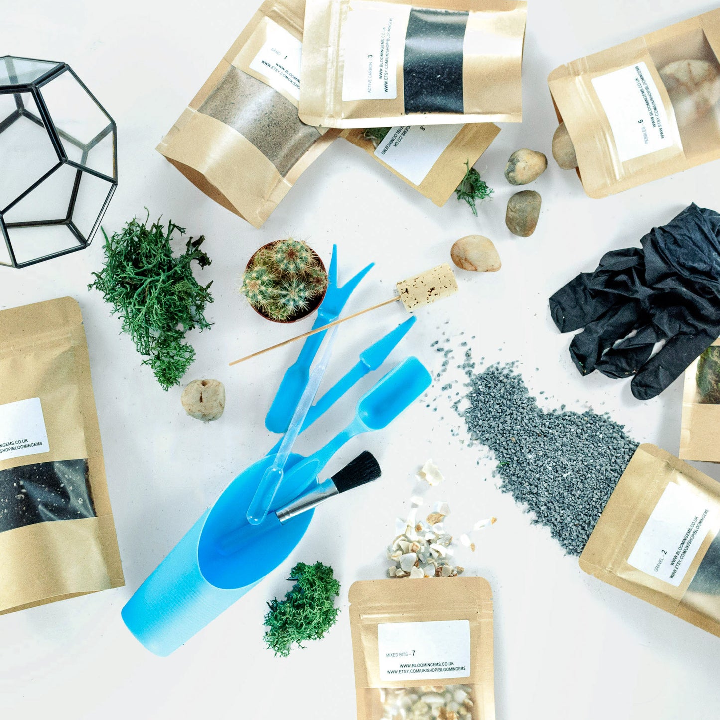 Geometric Black Frame Terrarium DIY Kit