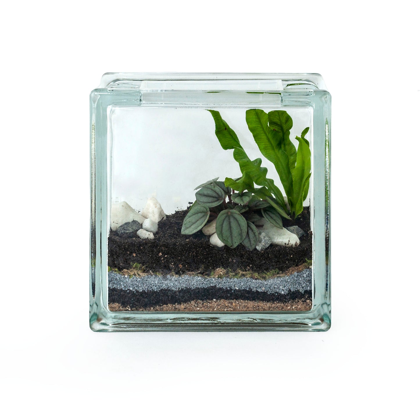 Glass brick Terrarium DIY kit