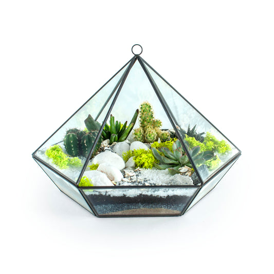 Diamond Glass Terrarium DIY Kit