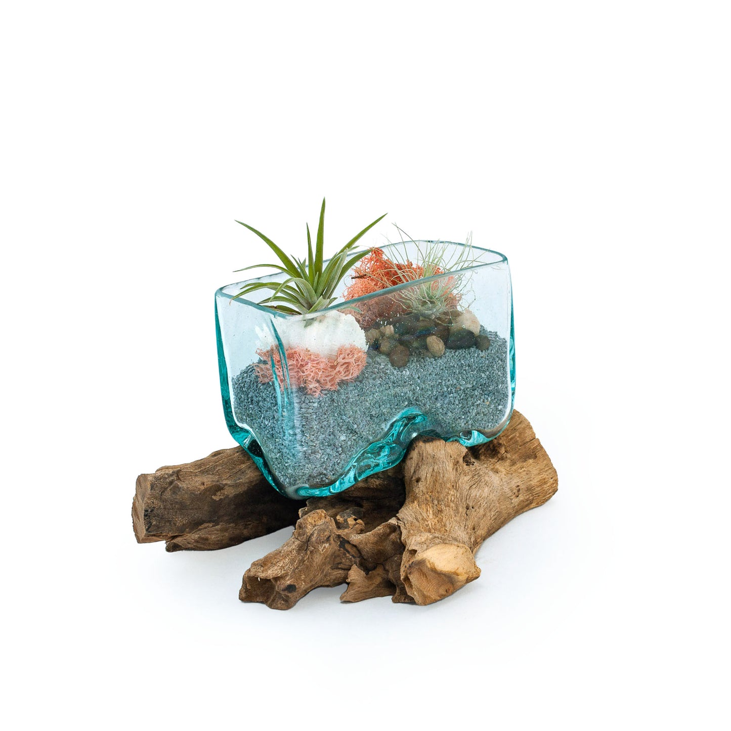 Rectangle Molten Glass Driftwood Air Plant Terrarium DIY Kit