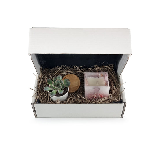 Care package including botanical enchanted flower candle with plant, pot and drip tray