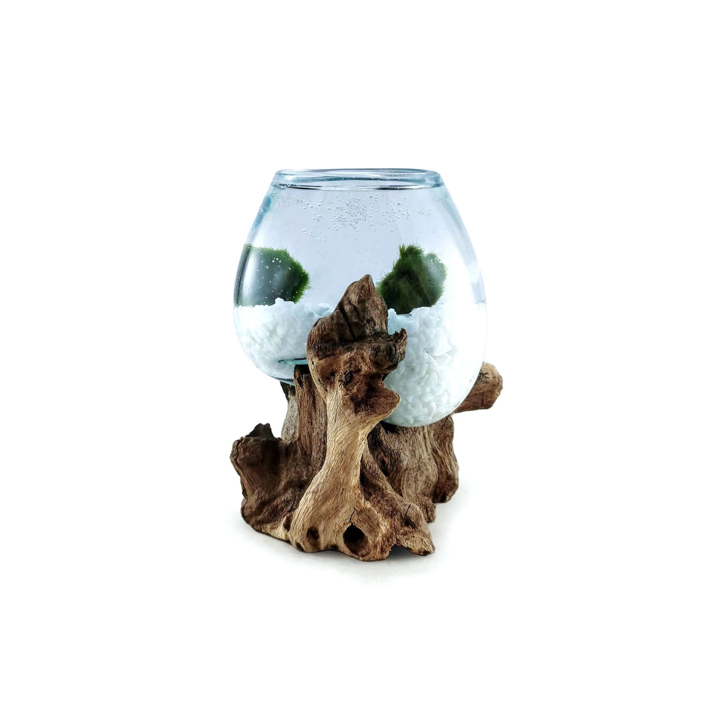Molten Glass Driftwood Aquarium with Moss Balls (Small)