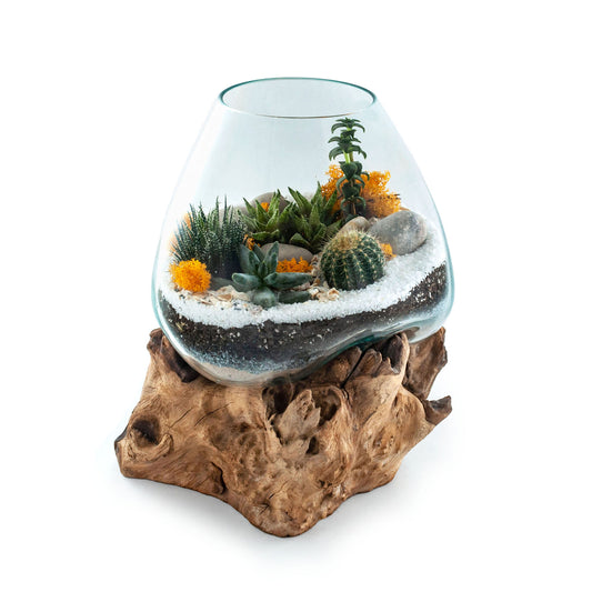 DELUXE Molten Glass Driftwood Terrarium DIY Kit (XL Tall)