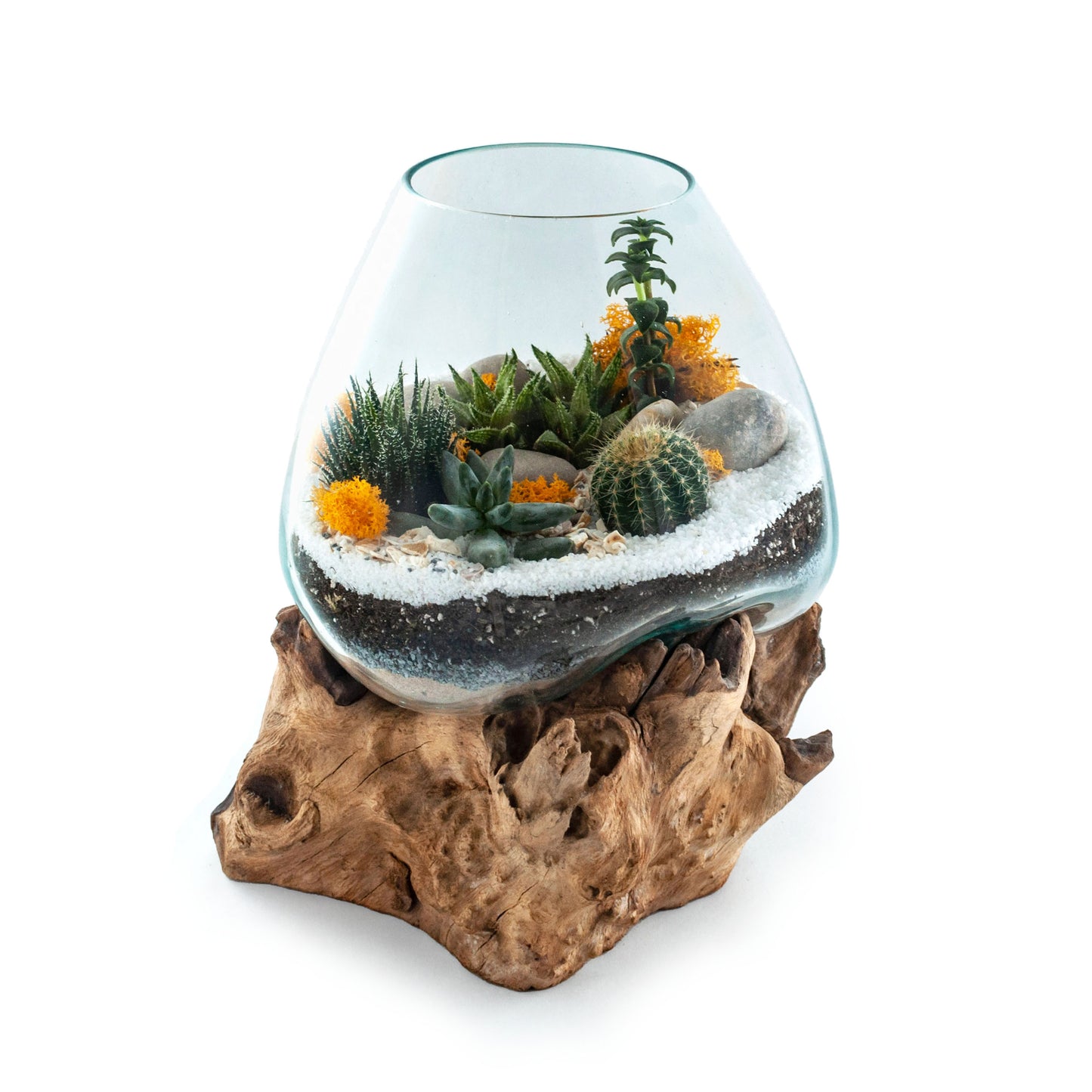 Molten Glass Driftwood Terrarium DIY Kit (XL Tall)