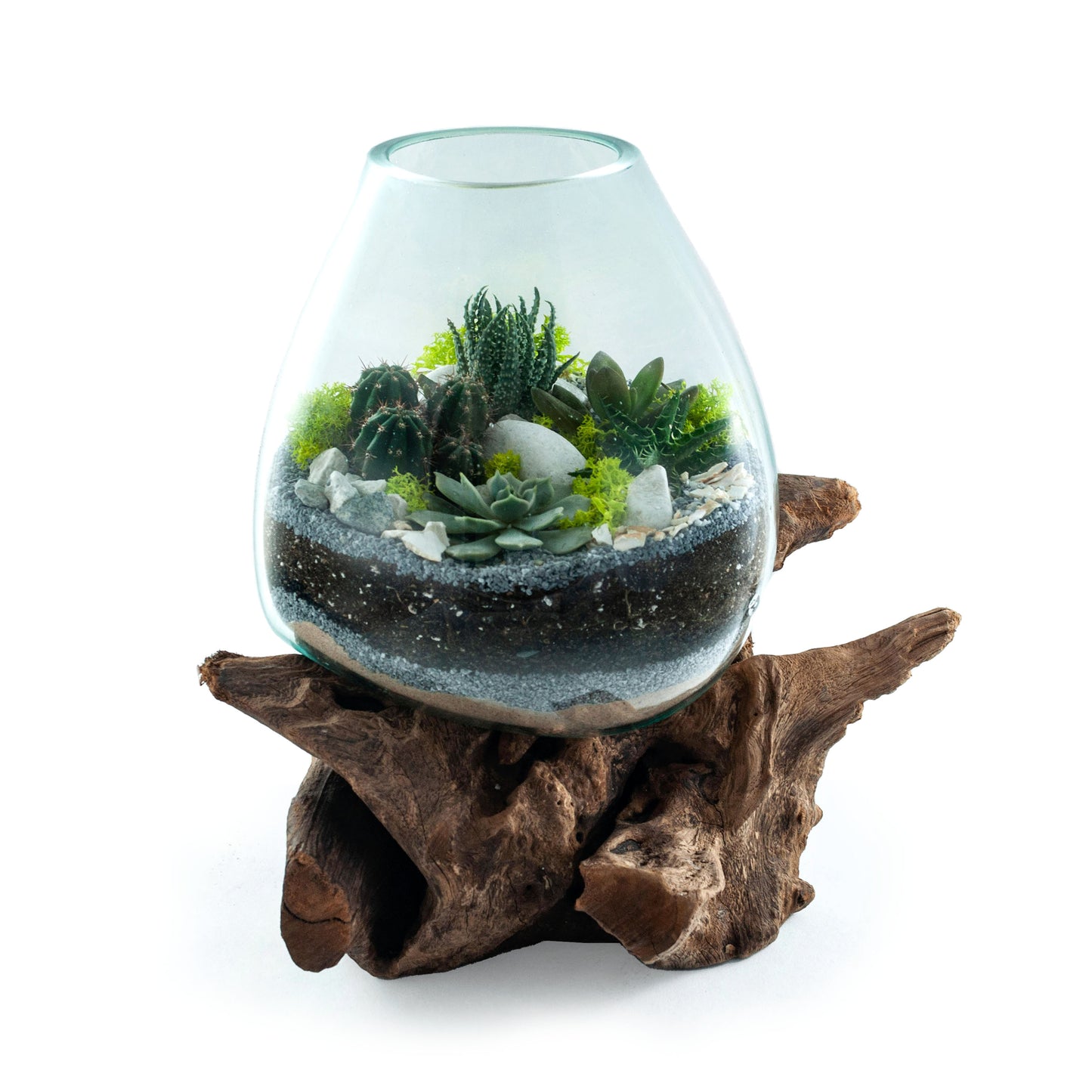 Molten Glass Driftwood Terrarium DIY Kit (XL Tall)