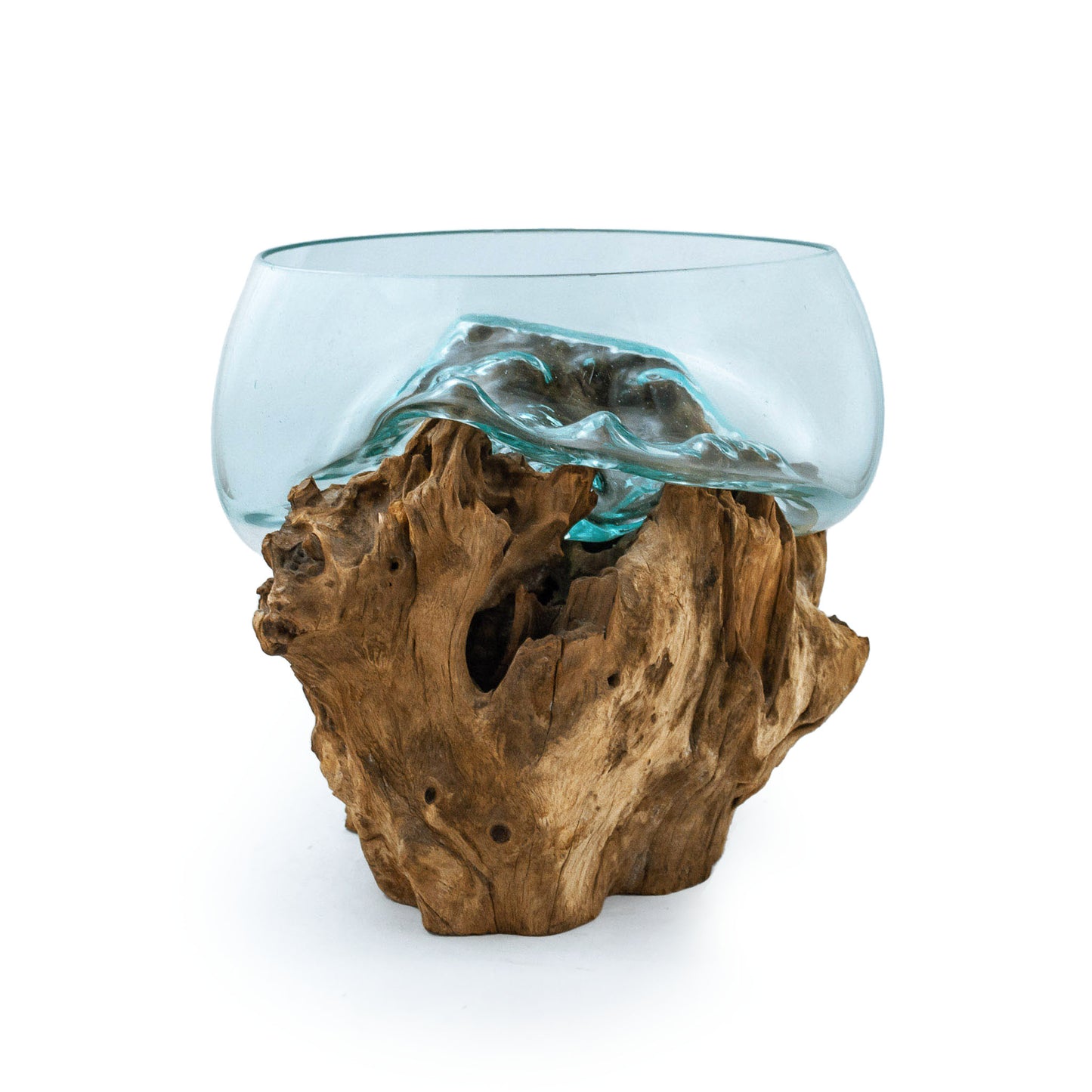 Driftwood Molten Glass Terrarium/Aquarium (Extra Large Wide)
