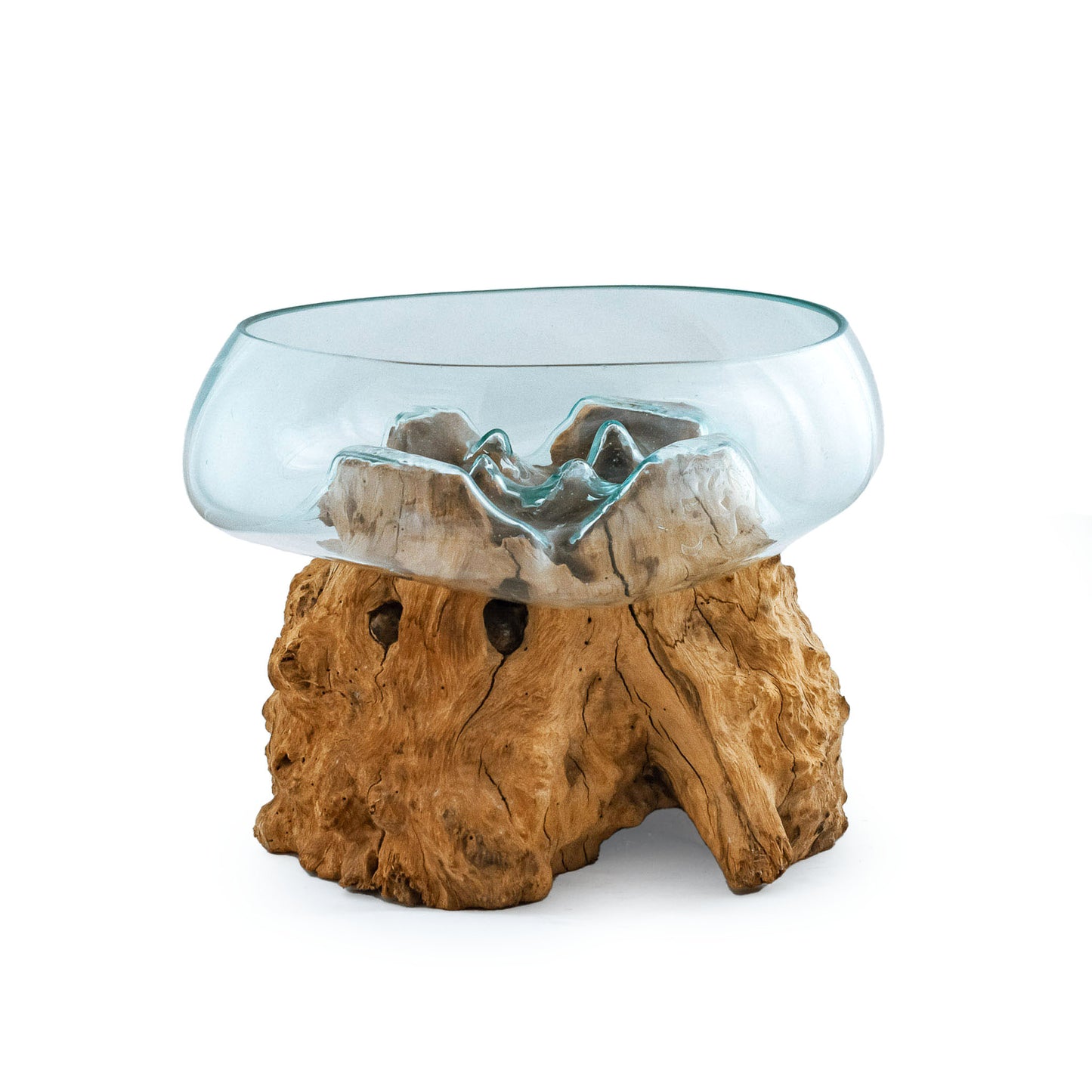 Driftwood Molten Glass Terrarium/Aquarium (Extra Large Wide)
