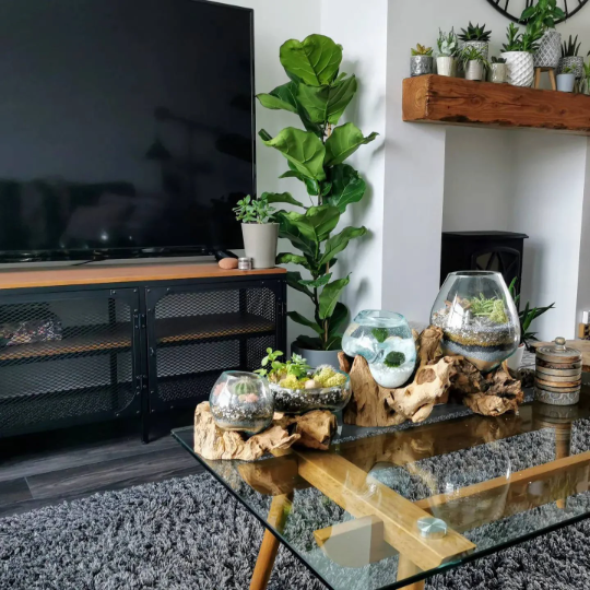 Extra Large Driftwood Molten Glass Aquarium (with light cavity)