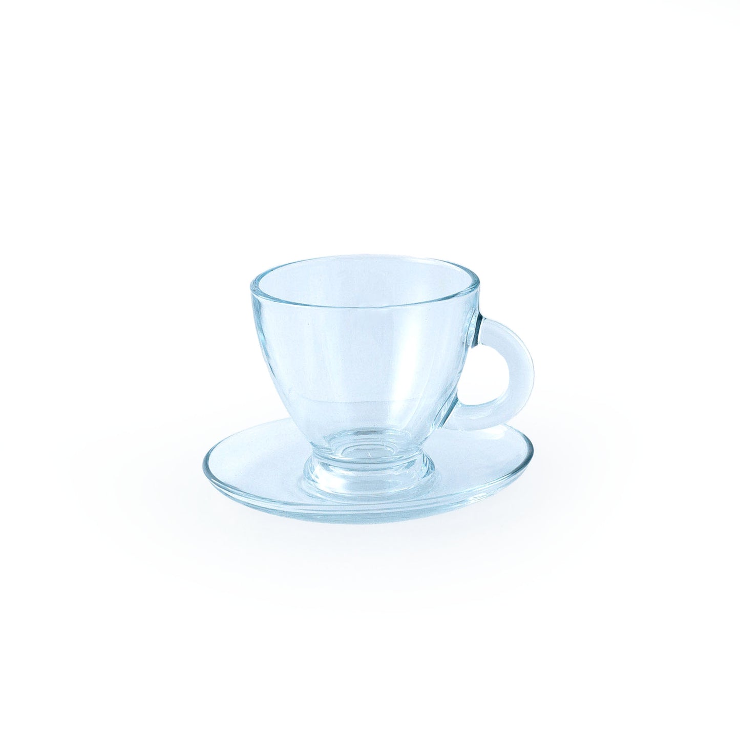 Teacup Terrarium DIY Kit
