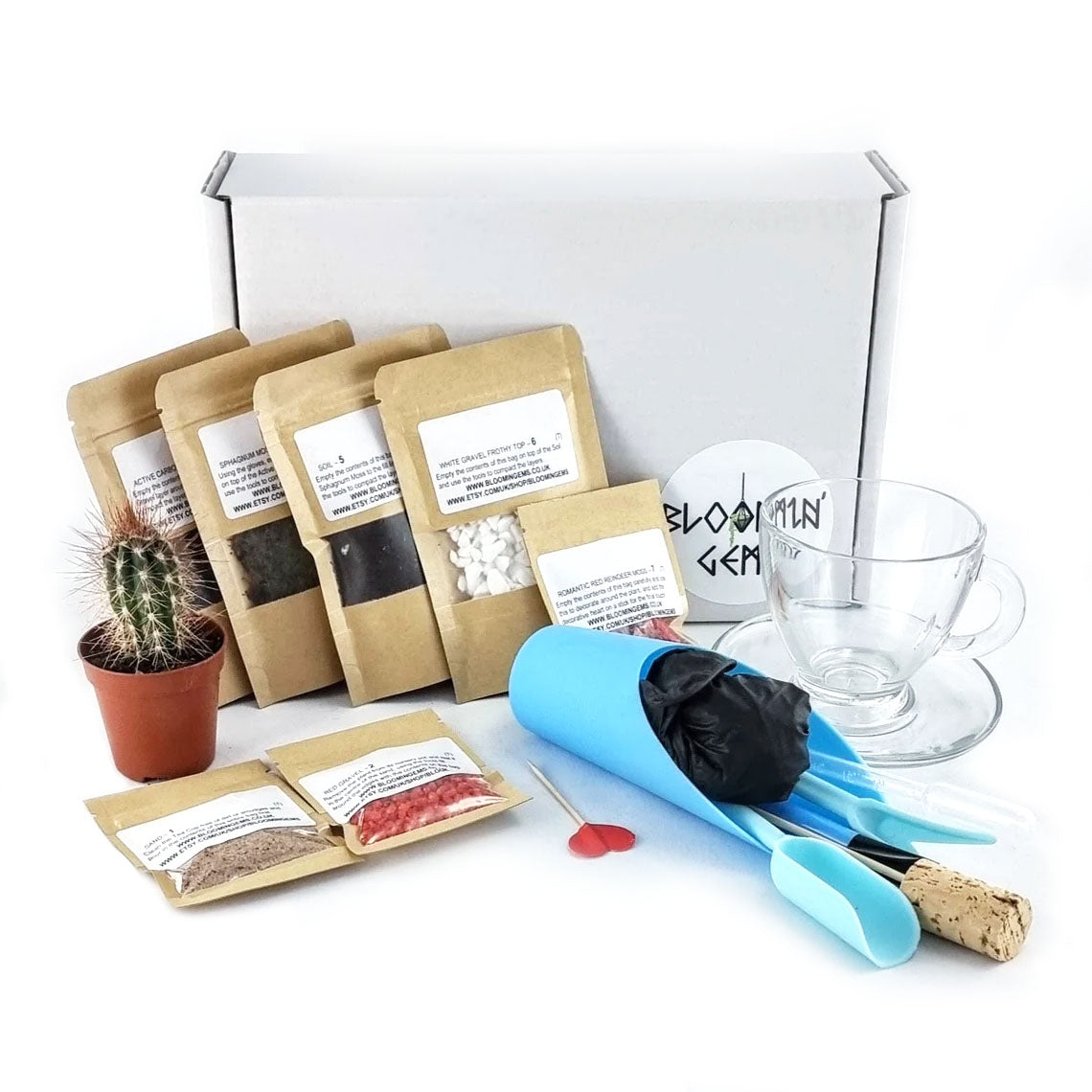 Teacup Terrarium DIY Kit