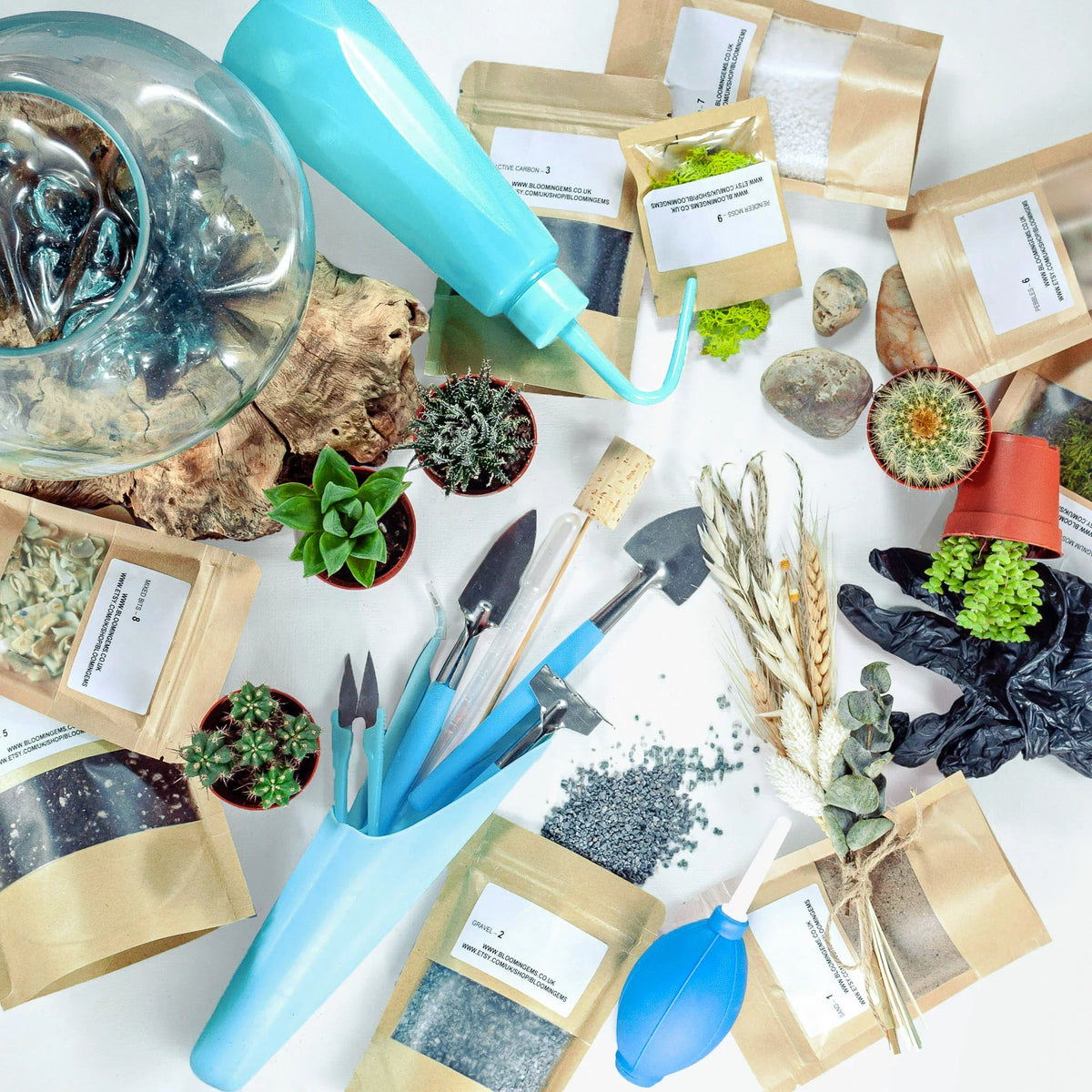 PLANTS & TERRARIUMS