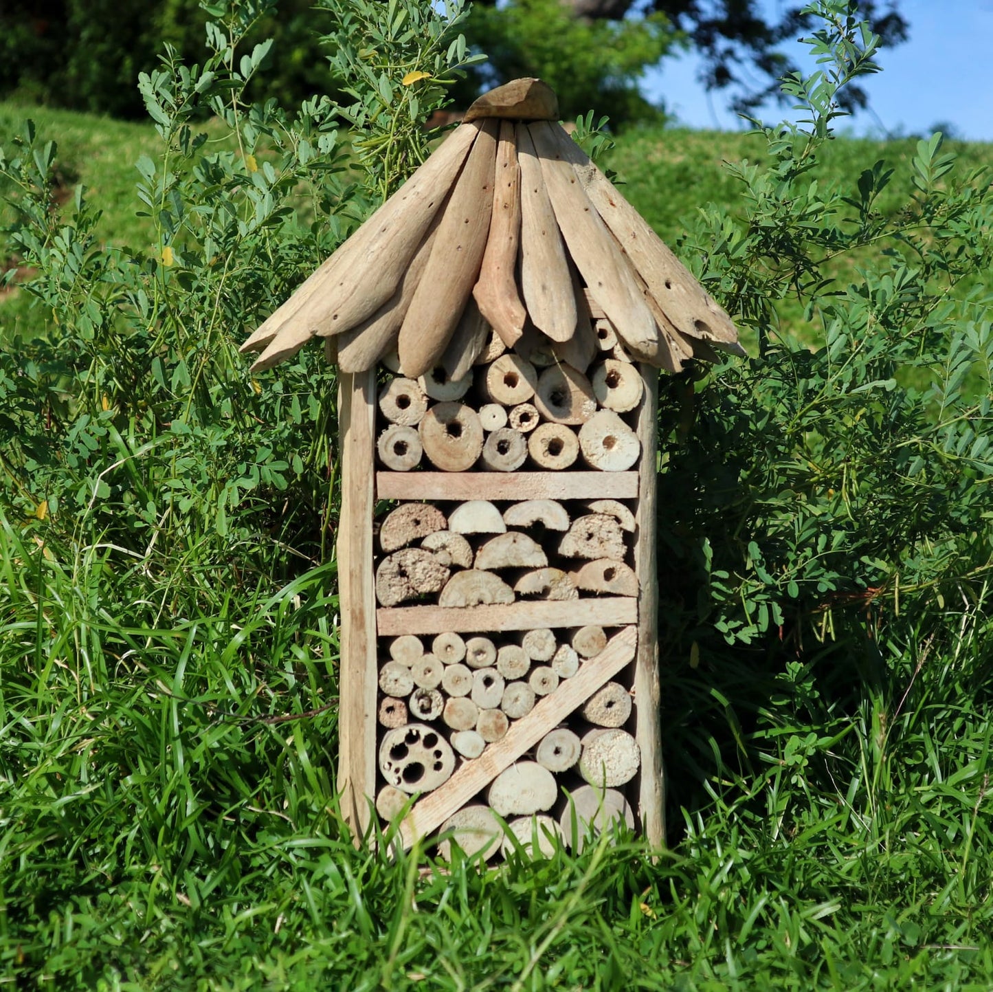 Driftwood Bee & Insect Tall Box